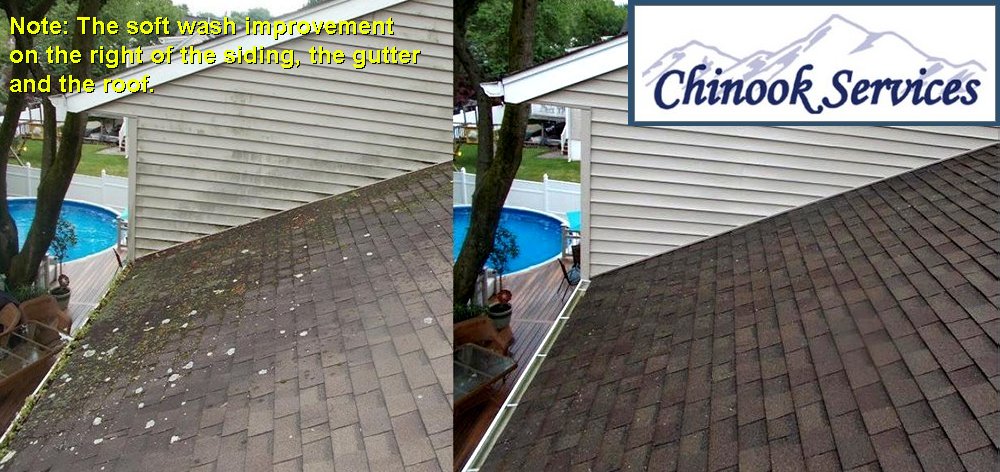 Chinook Services roof cleaning in Seattle WA, Bellevue WA, Redmond WA, Issaquah WA, Sammamish WA, Snohomish WA, Lake Stevens WA