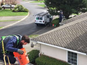 Cleaning Service Roof Gutter Window Pressure Washing