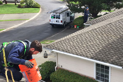 Chinook Services roof cleaning Bellevue WA
