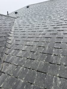 After soft moss soft wash removal of Seattle, WA homes roof