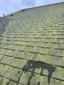 Before roof moss soft wash cleaning in Seattle, WA. Low cost service.