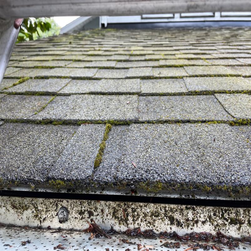 Roof Cleaning Cost