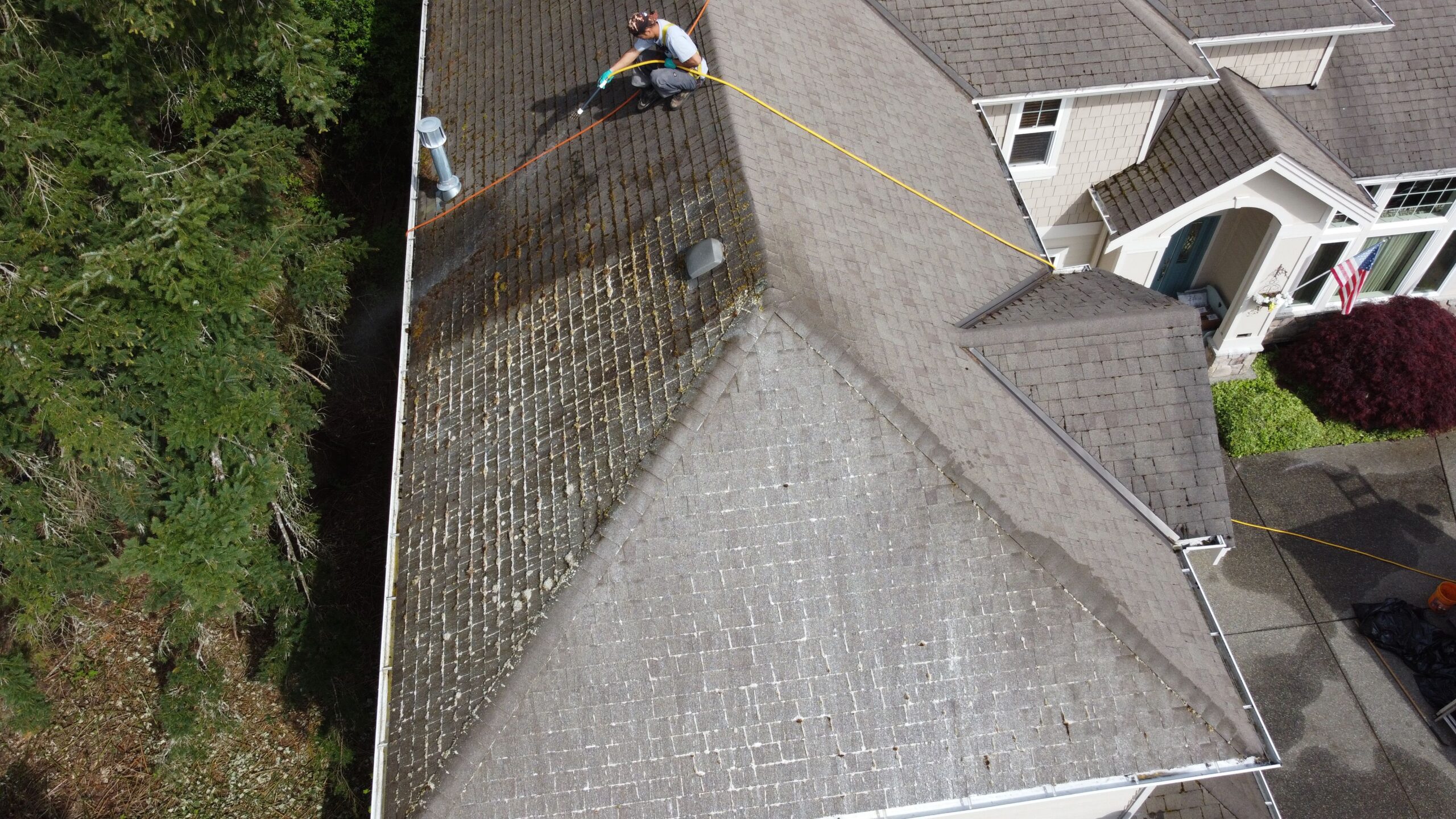 A worker from Chinook Services applies a soft wash solution to instantly kill 100% of the moss. Chinook Services near Seattle WA is top rated and local provider.