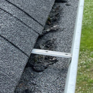 Roof granular brushed from roof near Seattle, Bellevue, Everett areas