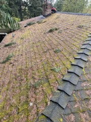 Soft wash roof cleaning Seattle