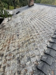 Soft wash roof cleaning service Chinook Services