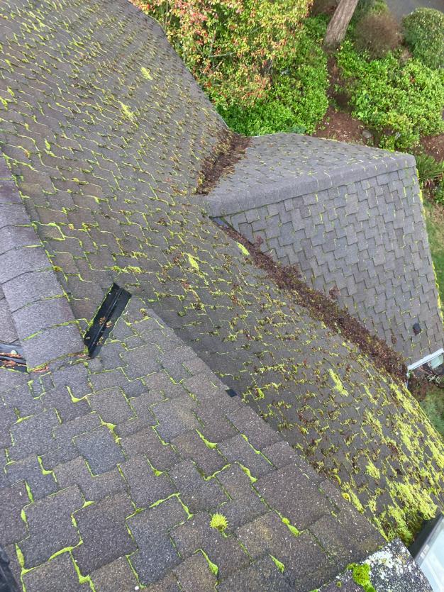 Roof cleaning soft wash jobsite Seattle area home
