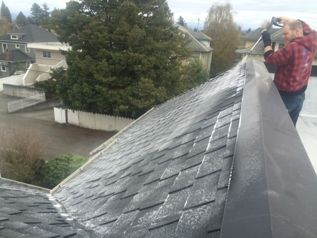 Roof Moss Cleaning Seattle
