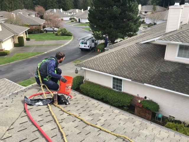 Arlington roof cleaning by Chinook Services a top roof cleaning provider near Arlington, WA
