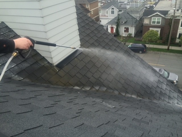 Roof cleaning Seattle moss treatment soft wash application to asphalt shingled roof. Provided by Chinook Services local to Seattle,WA