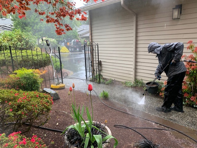 Cleaning driveway and walkway in Bothell
