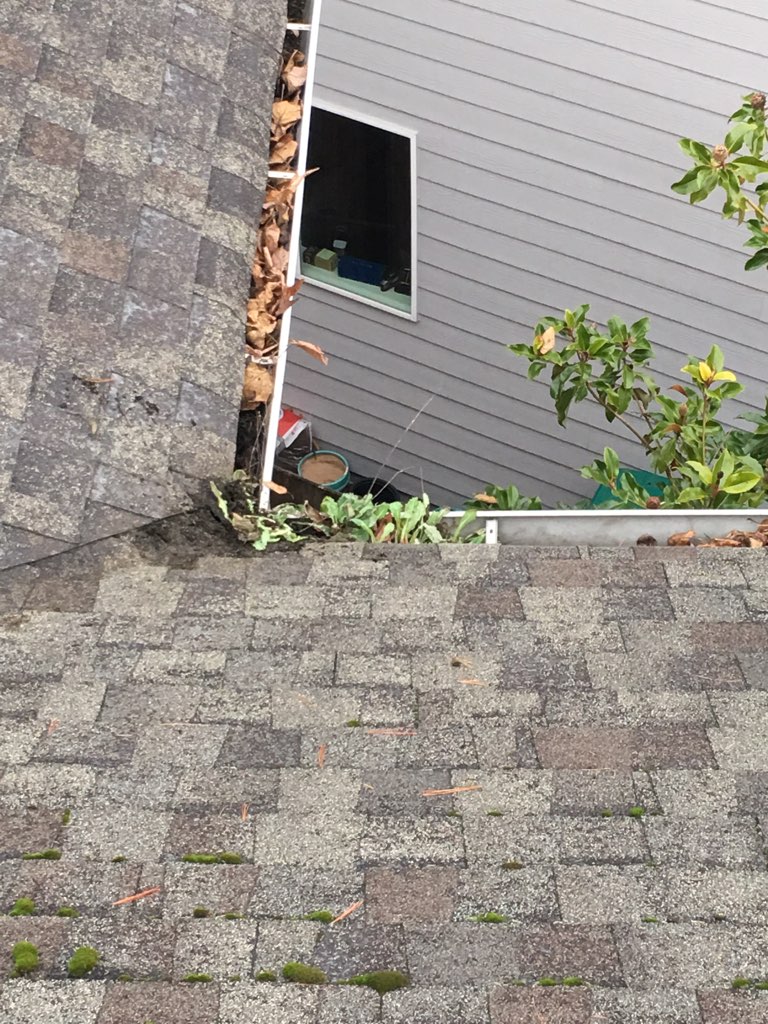 Seattle gutter cleaning. Gutter full of debris and clogged in Seattle, WA. Gutter cleaning was performed by Chinook Services soon after image was taken.