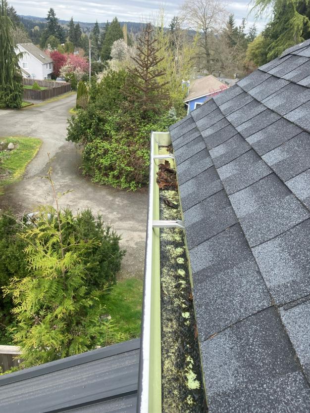 Exterior cleaning service King and Snohomish counties image