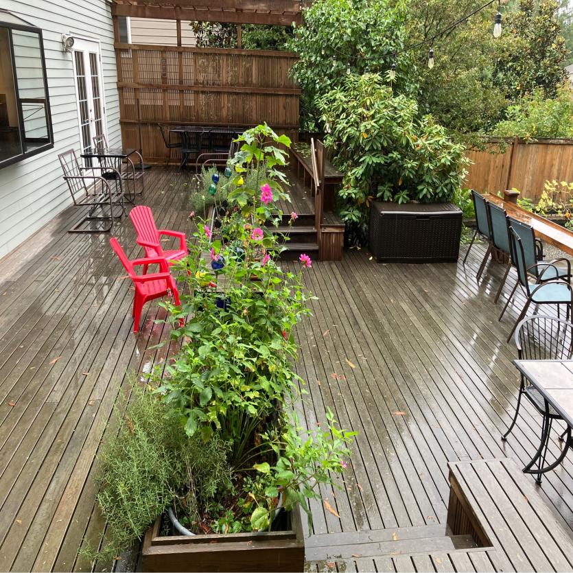 Seattle wood deck cleaning