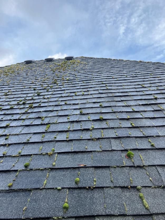 Soft wash roof cleaning Seattle house shingles