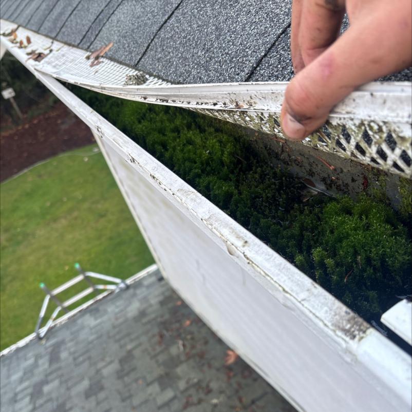 Gutters cloggerd with gutter cover guards