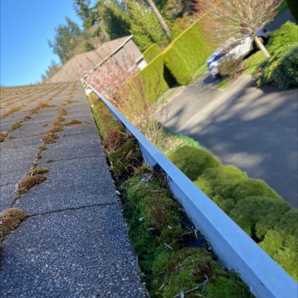 Gutters full of debris Seattle, WA