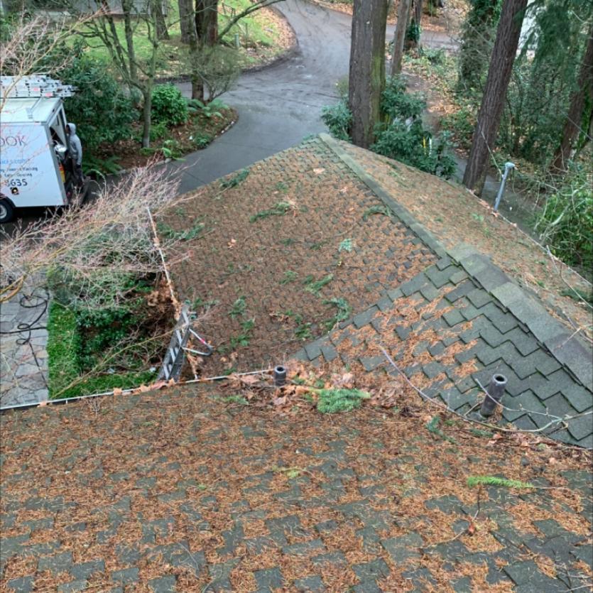 how to clean Seattle roof image