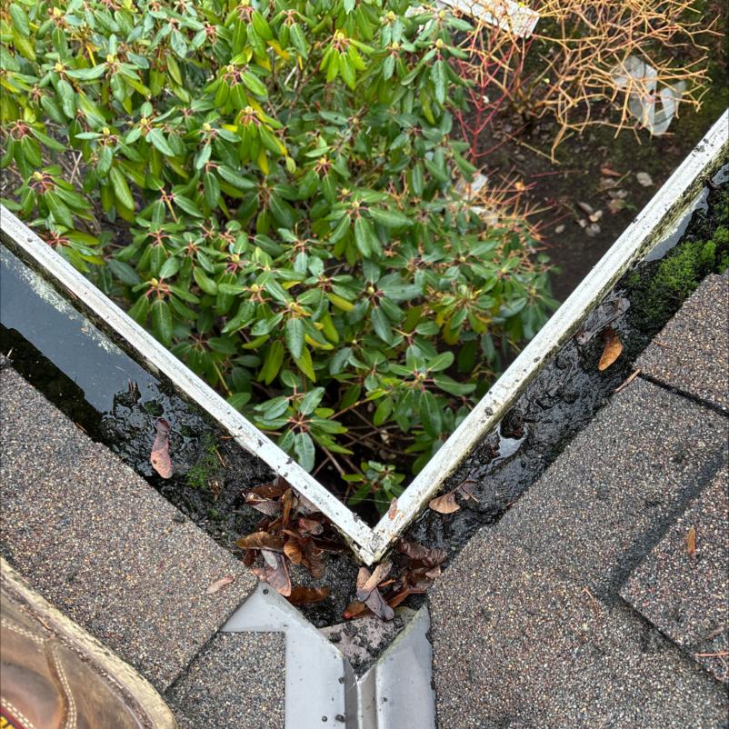 Seattle area home with full over flowing clogged gutters image