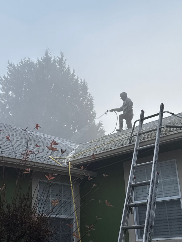 Roof cleanig cost Seattle and sorrounding areas image
