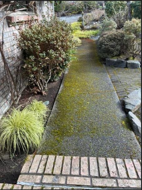 Moss removal Seattle how to and tips from Chinook Services. Providing tips to customer image