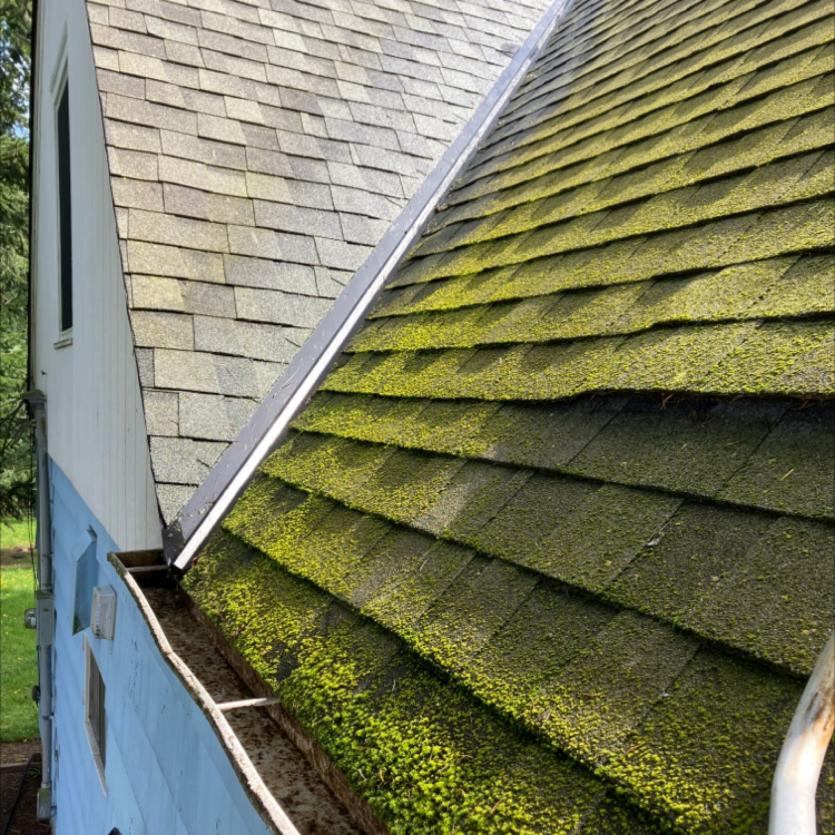 How to remove moss from Bothell home
