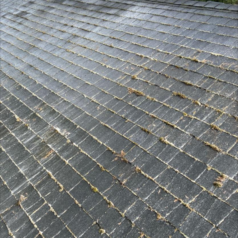 Bothell roof cleaning moss image of asphalt shingled roof post soft wash