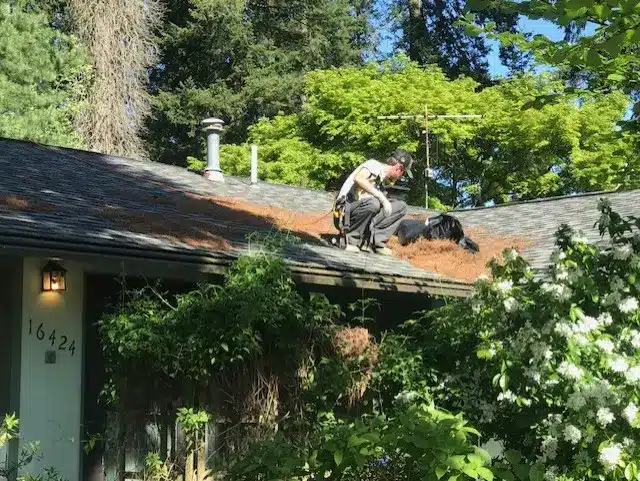 A professional worker on a Seattle roof cleaning job clearing large debris by hand.