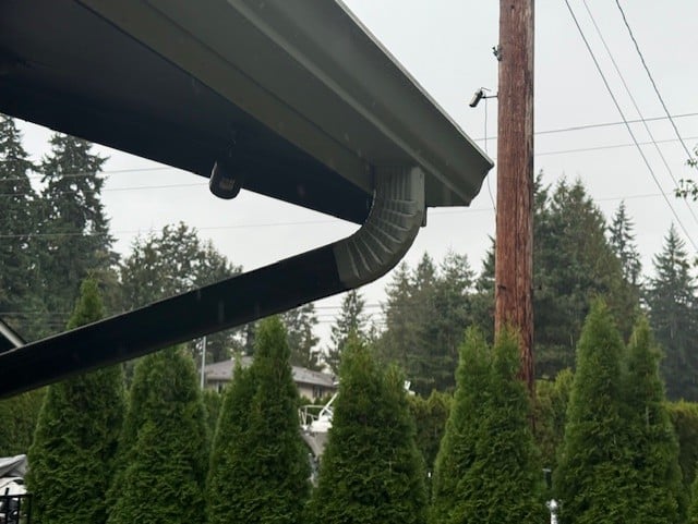 gutter and downspout cleaning service Alderwood area