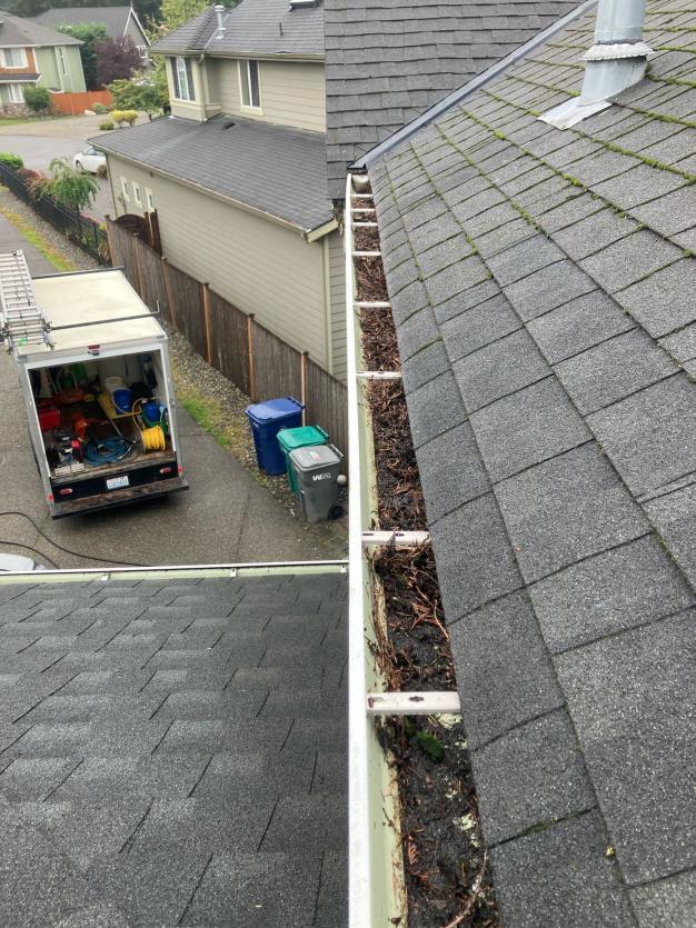 Gutter cleaning in Bellevue