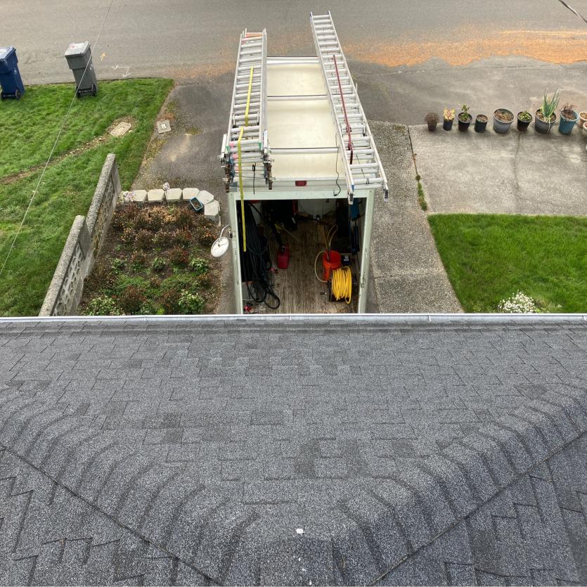 Roof cleaning service in Bellevue, WA after clearing the rooftop