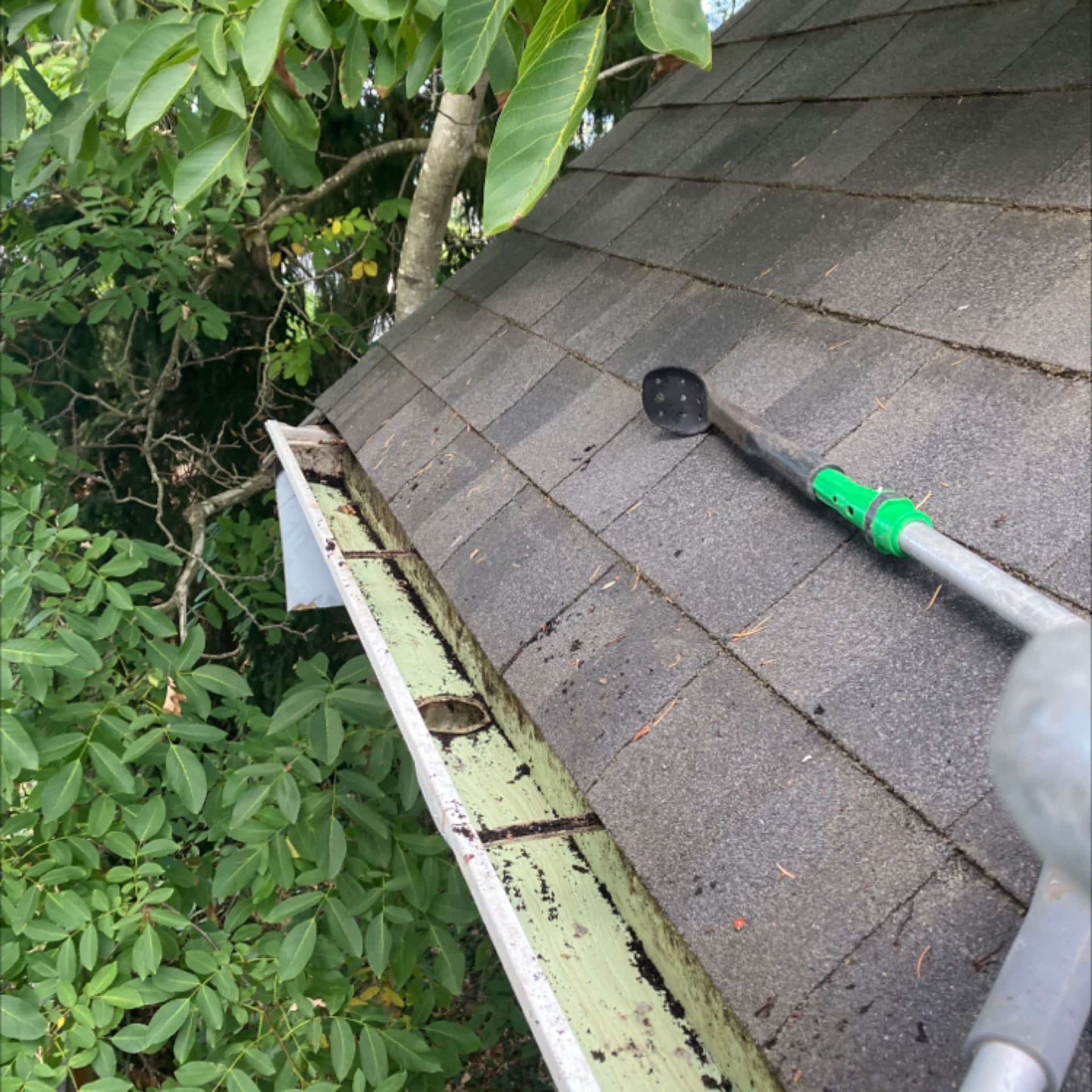 Debris hand cleaned from Brier, WA house with Chinook Services gutter cleaning
