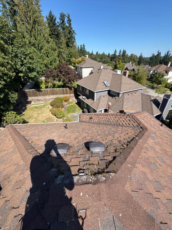 Cleaning roofs of Brier homes