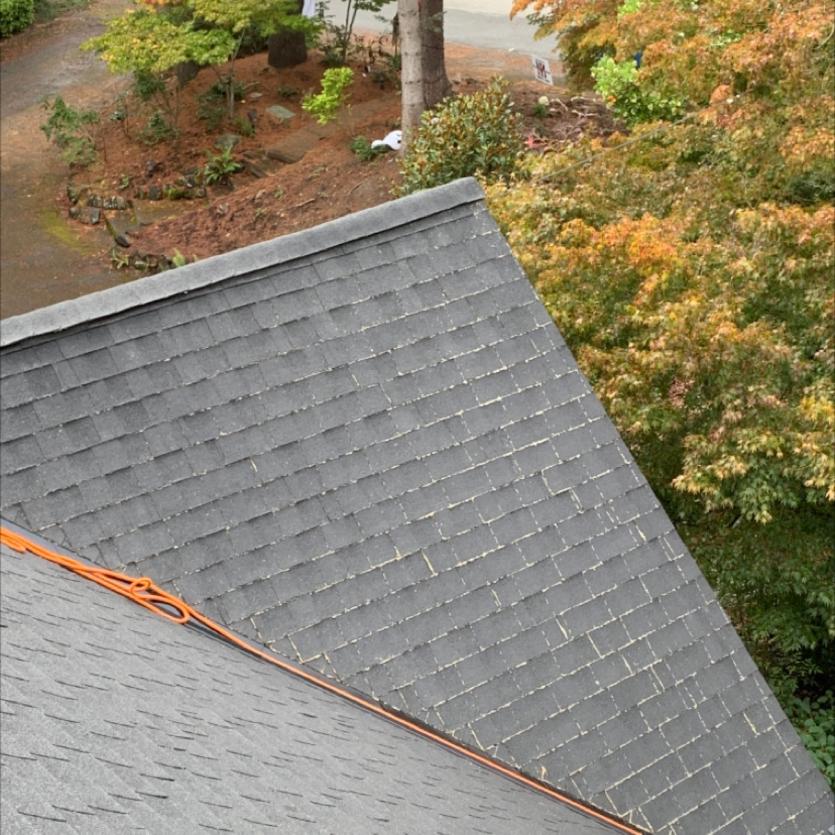Steep asphalt shingled roof with pine needles in valleys before roof cleaning in Edmonds, WA