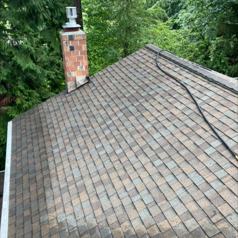 Roof blown and moss soft wash during roof cleaning services in Edmonds, WA