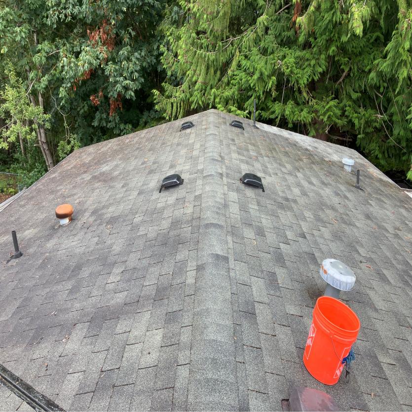 Pine needles, branches, and moss removed from Everett, WA home. Roof cleaning service by Chinook Services