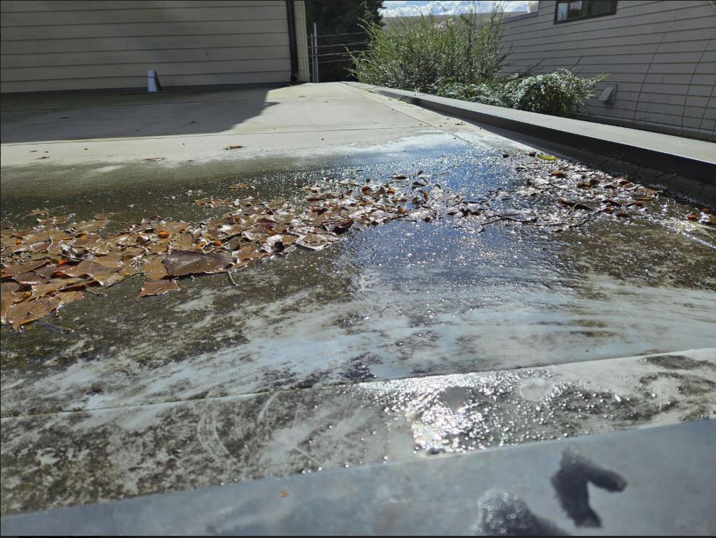 Flat roof Seattle cleaned three times per year