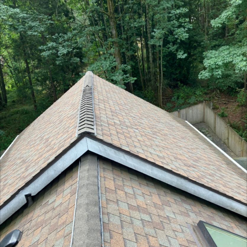 Roof cleaning a Gold Bar, WA home