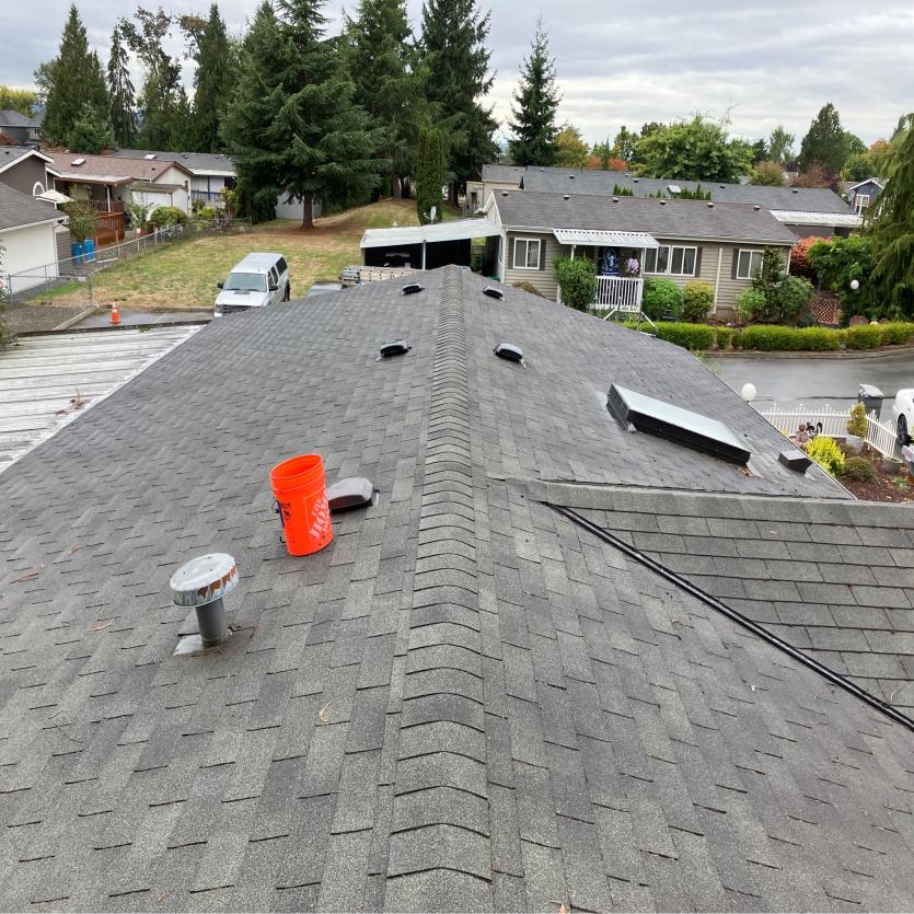 roof debris removed during roof cleaning service in Granite Falls