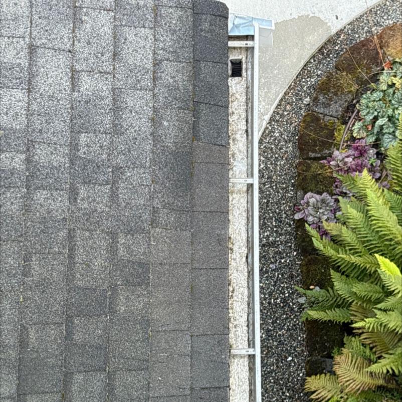 Gutter in Bellevue after cleaning by Chinook Services