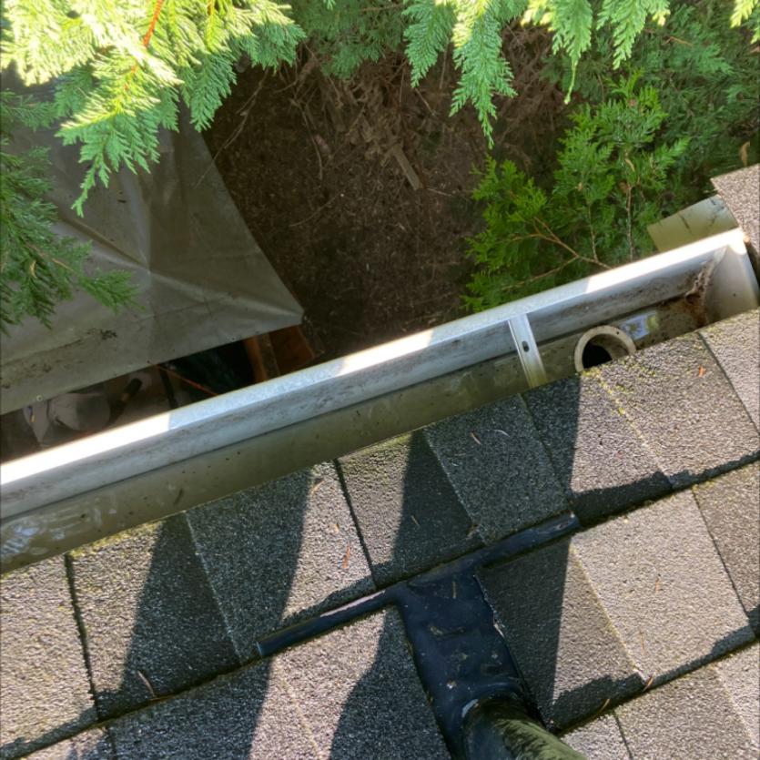 after image gutter cleaning in Index, WA