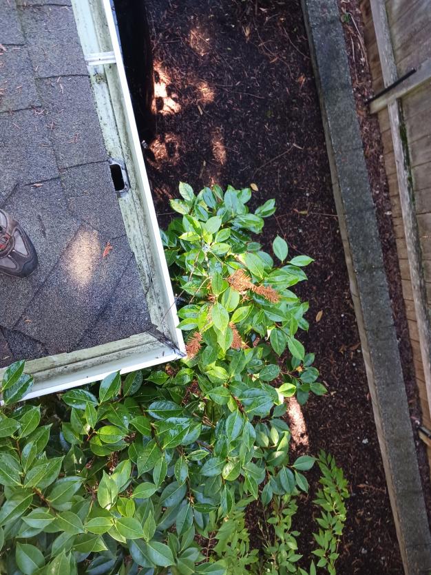 Gutter corner section cleaned and flushed in Kenmore, WA