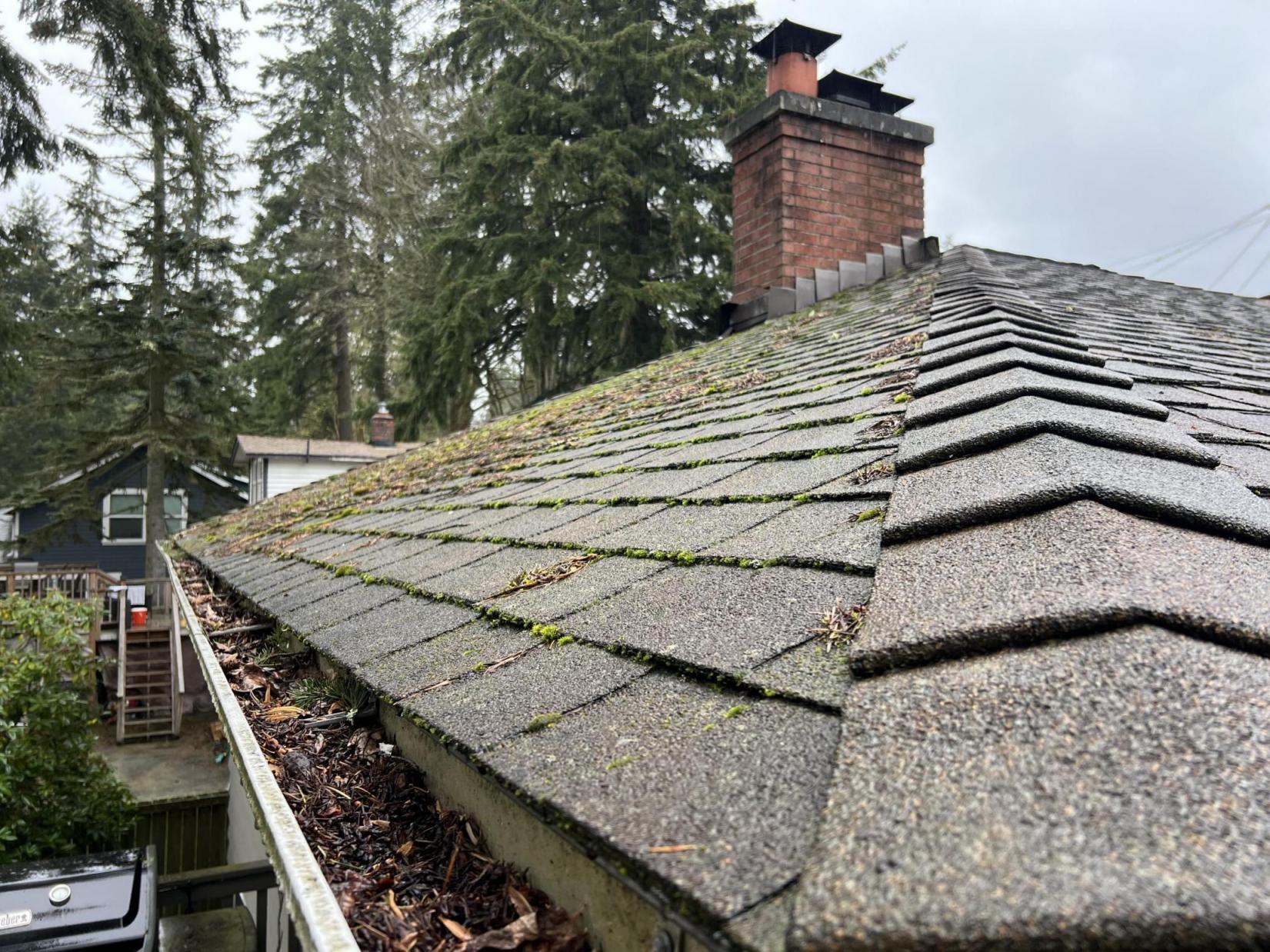 Gutter full of debris and clogged before gutter cleaning services in Lake Stevens, WA