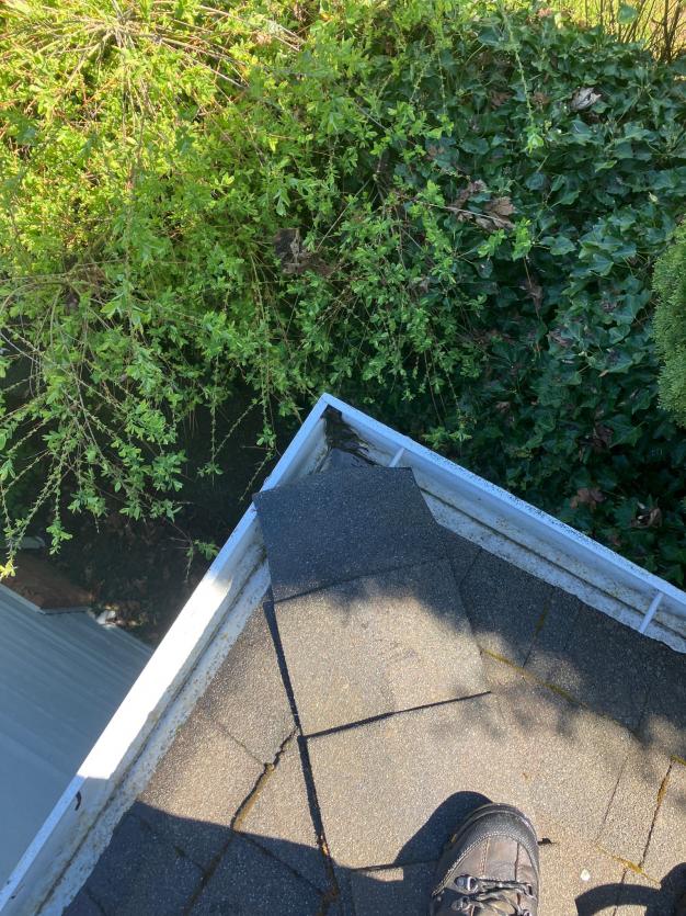 Tall second story gutter cleaning service post service