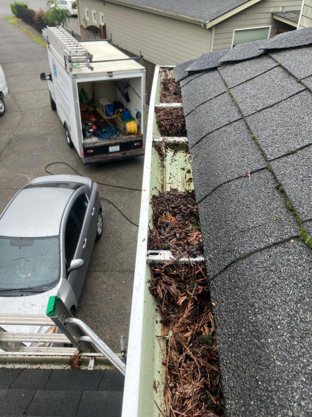 Hand removal of gutter debris by Chinook Services gutter cleaning in Marysville, WA