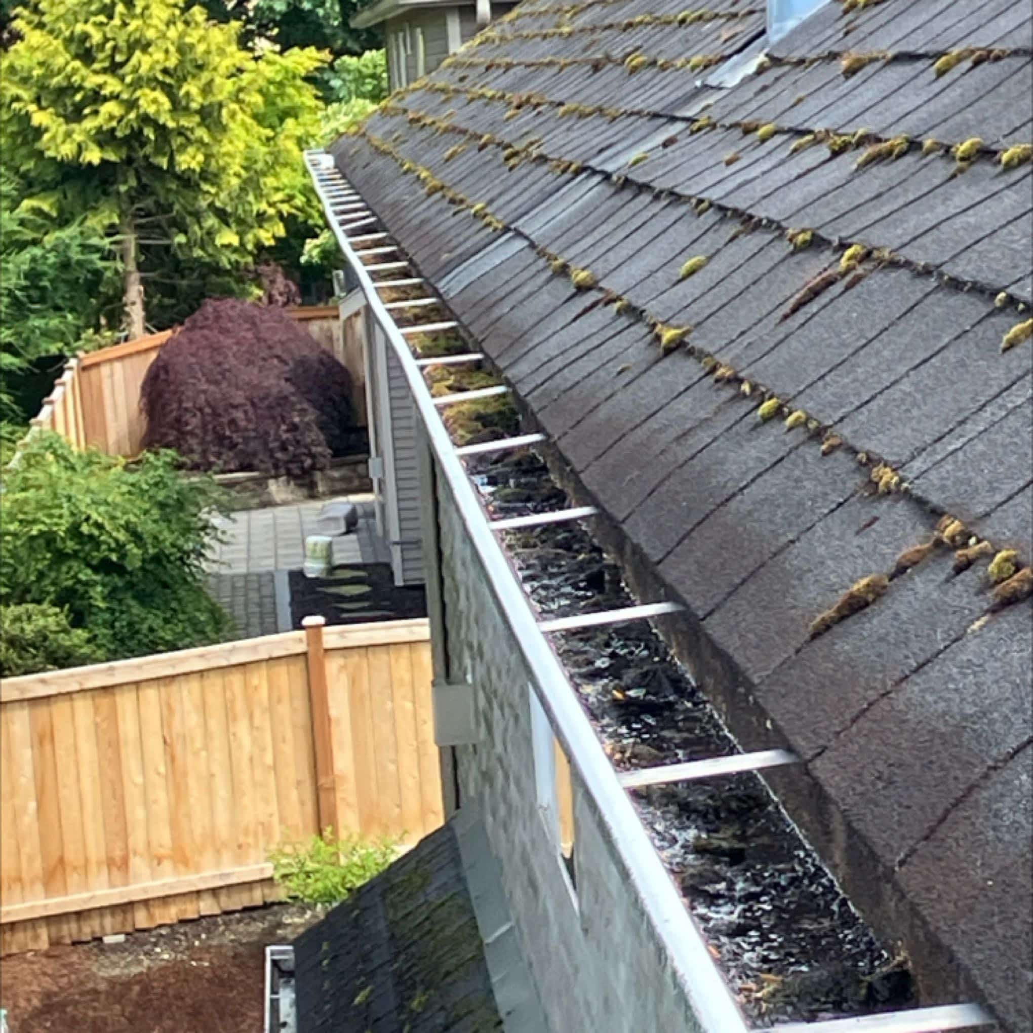 Clogged gutter on a Mill Creek house, highlighting the need for professional cleaning services by Chinook Services.