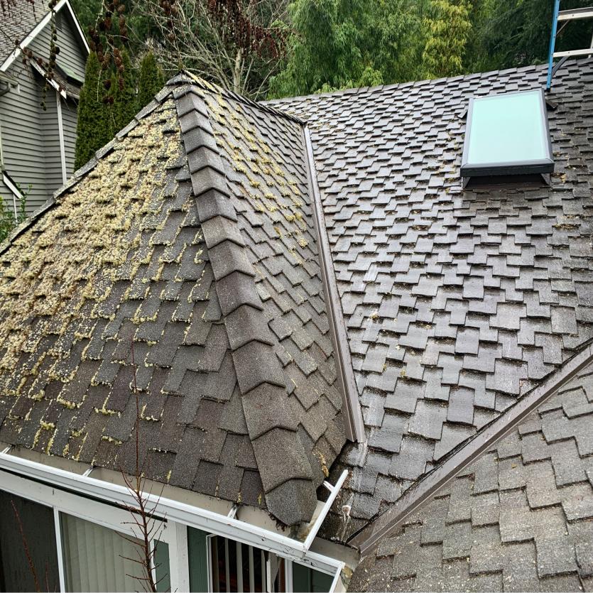 A roof in Mill Creek covered with debris and moss, illustrating the importance of professional roof cleaning services provided by Chinook Services to maintain home's integrity.