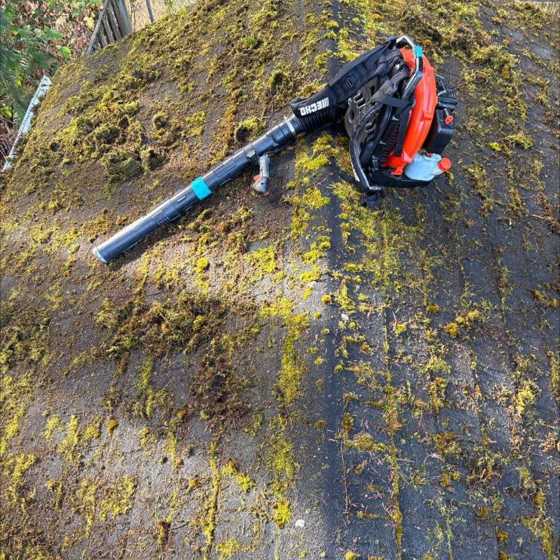 Roof with heavy moss present in Mill Creek, WA before roof cleaning soft wash moss removal service is performed