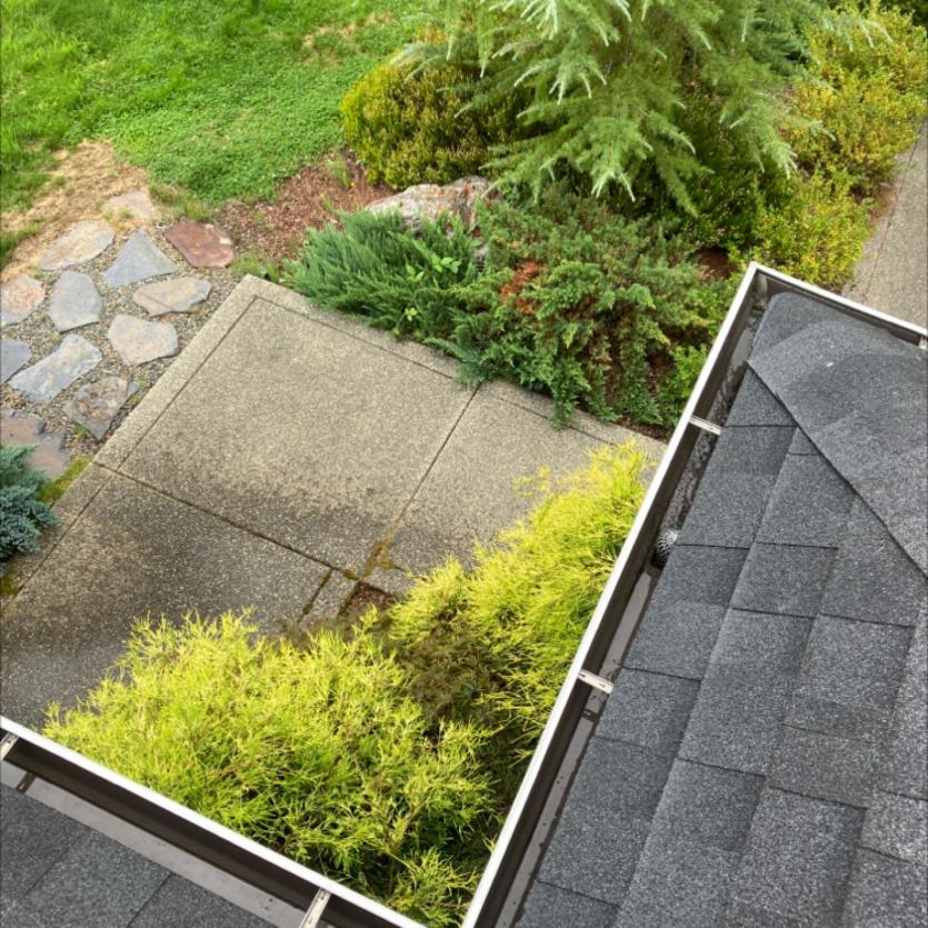 Shoreline gutter cleaning service company Chinook Services cleared debris from gutters by hand