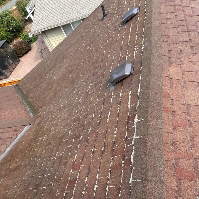 Bothell moss removal soft washing service. Moss killer applied and moss is white and dead